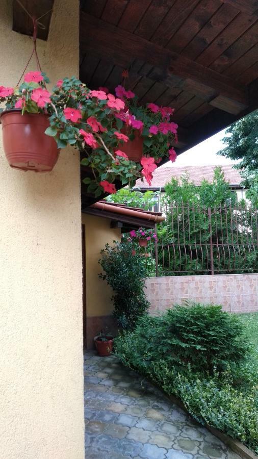 Къща За Гости Фантазия Triavna Exterior foto